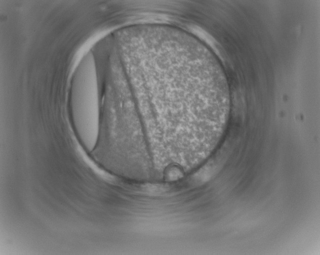 X0000076311379200610271928