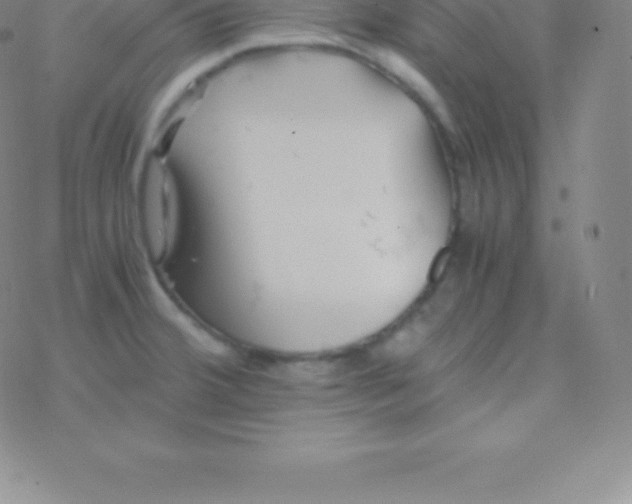 X0000076311380200610271928