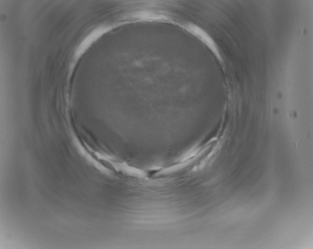 X0000076311381200610271928