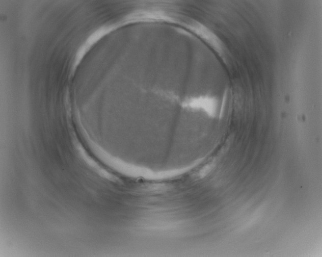 X0000076311382200610271928