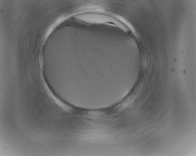 X0000076311383200610271928