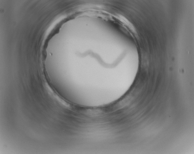 X0000076311384200610271928