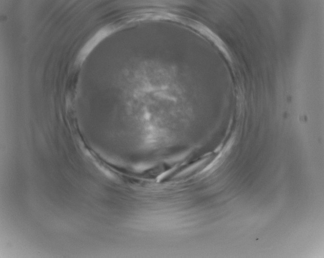 X0000076311385200610271928