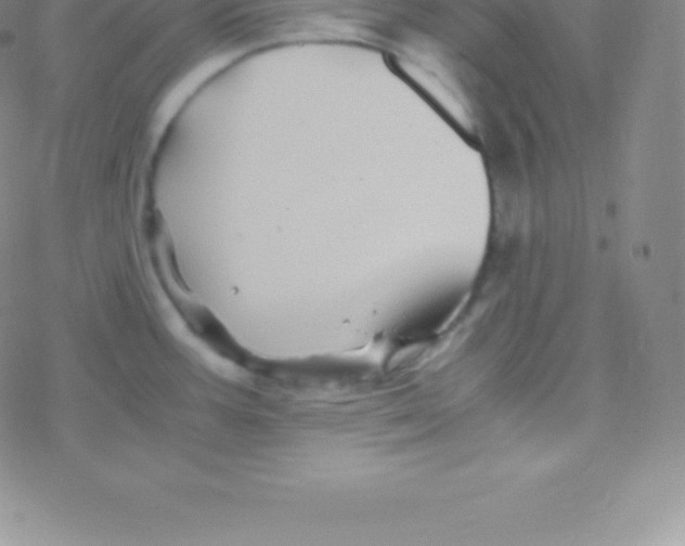 X0000076311387200610271928