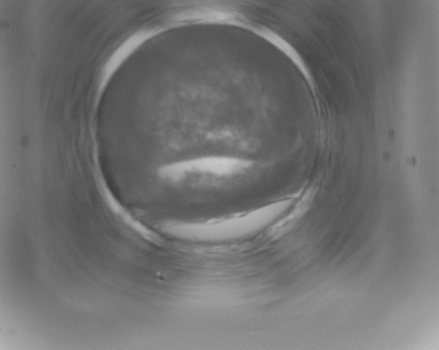 X0000076311389200610271928