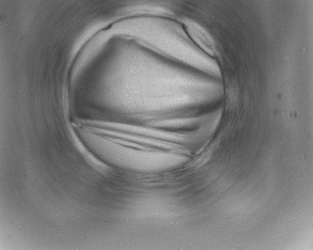 X0000076311391200610271928