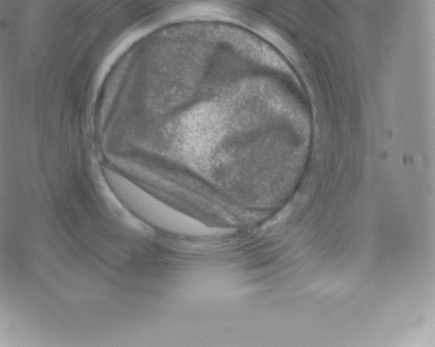 X0000076311392200610271928