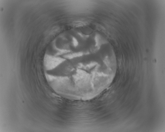 X0000076311393200610271927