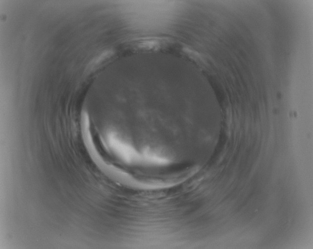 X0000076311394200610271927