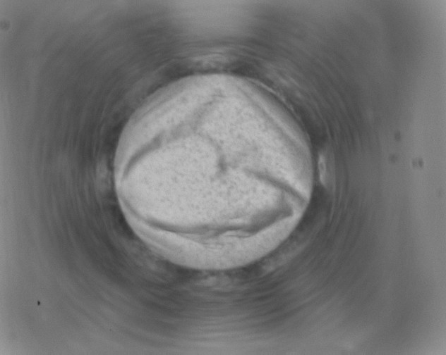 X0000076311395200610271927