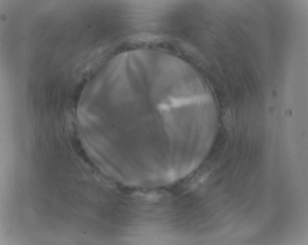 X0000076311397200610271927