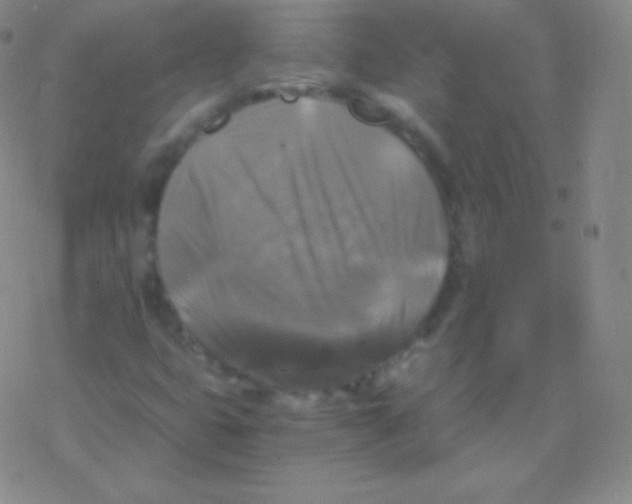 X0000076311399200610271927