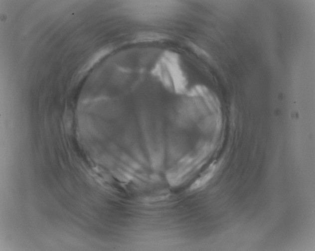 X0000076311401200610271927