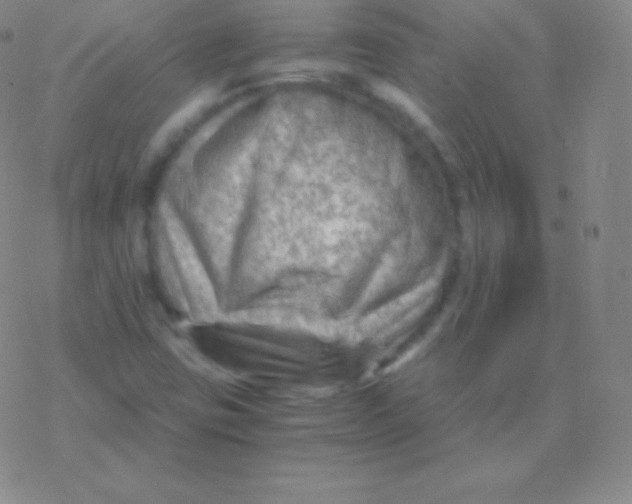 X0000076311403200610271927