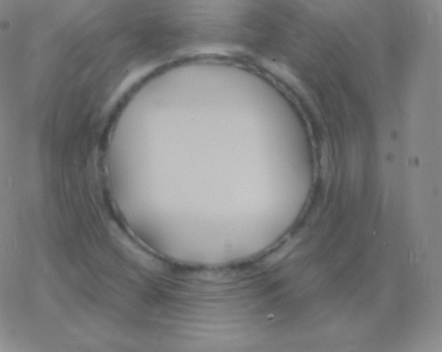 X0000076311404200610271928