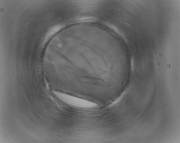 X0000076311405200610271928