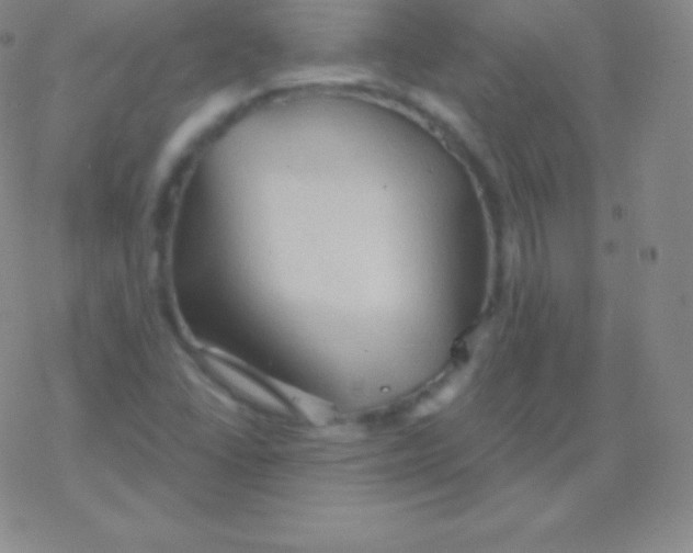 X0000076311406200610271928