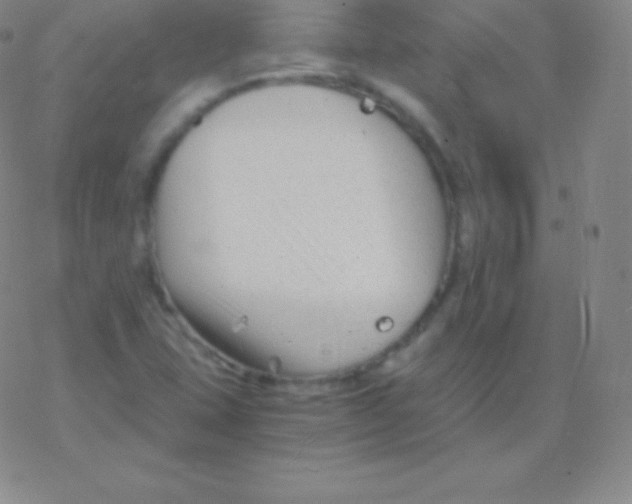 X0000076311407200610271928