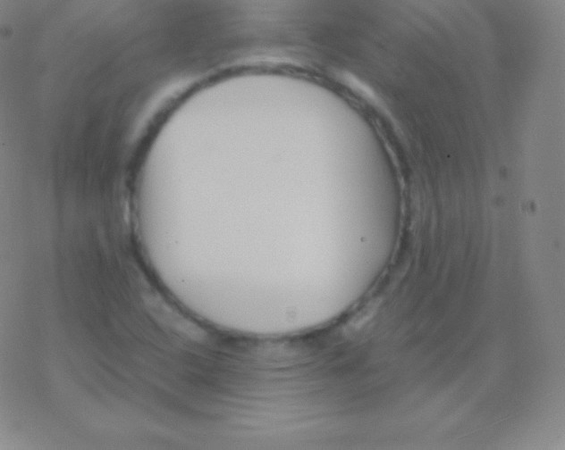 X0000076311408200610271928