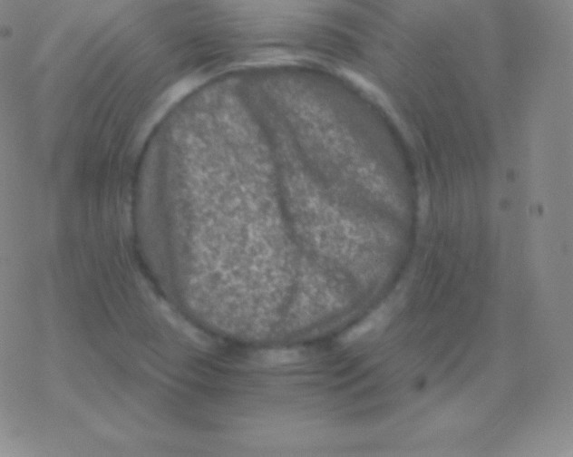 X0000076311409200610271928