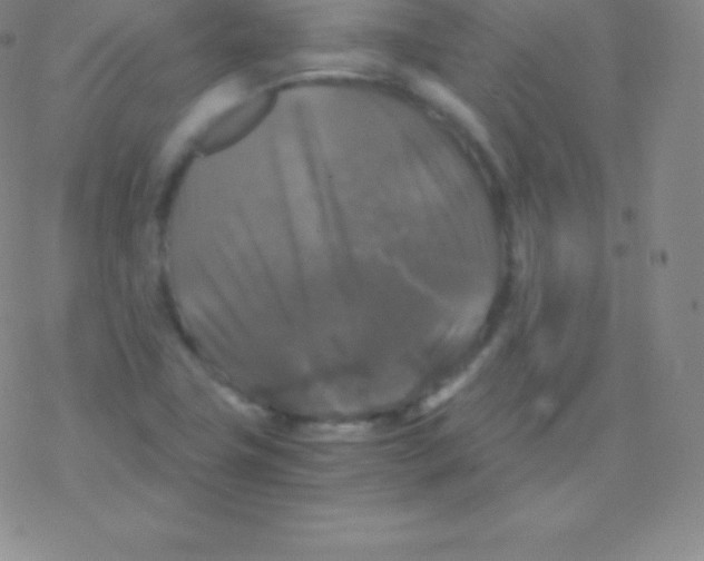 X0000076311411200610271928