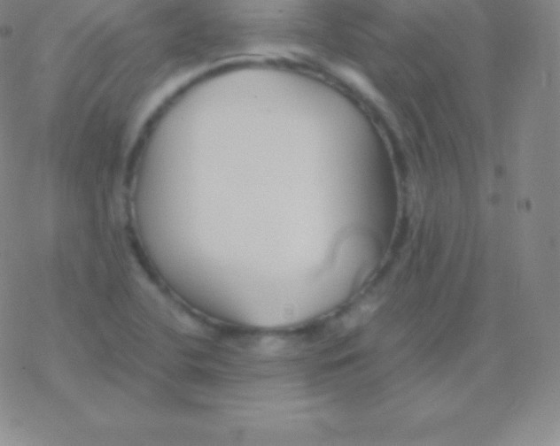 X0000076311412200610271928