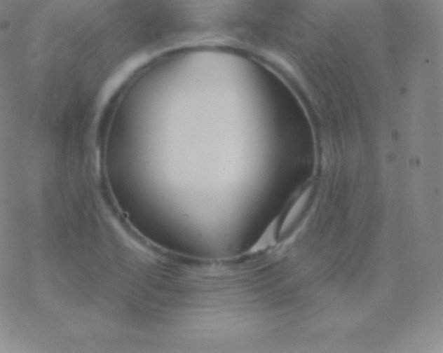 X0000076311414200610271928