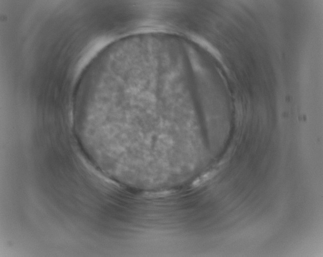 X0000076311415200610271928