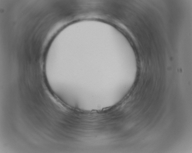 X0000076311416200610271928