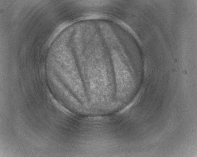 X0000076311417200610271928