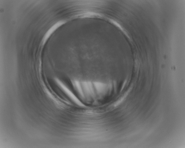 X0000076311418200610271928