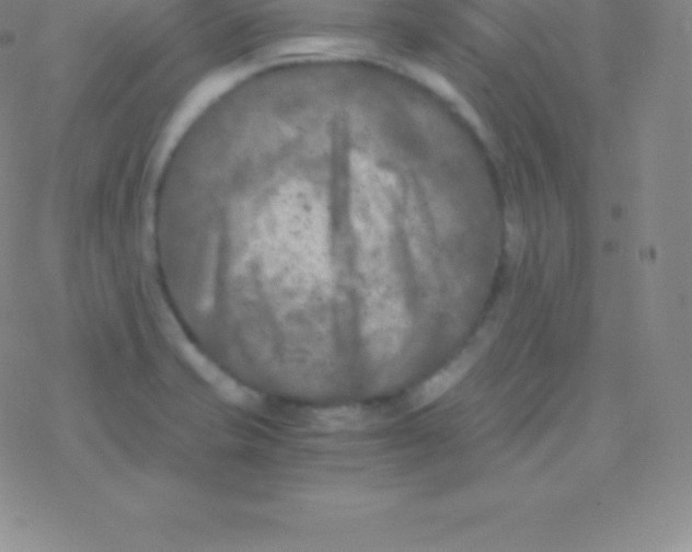 X0000076311421200610271928