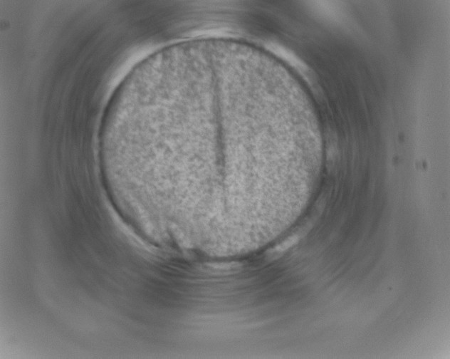 X0000076311423200610271928