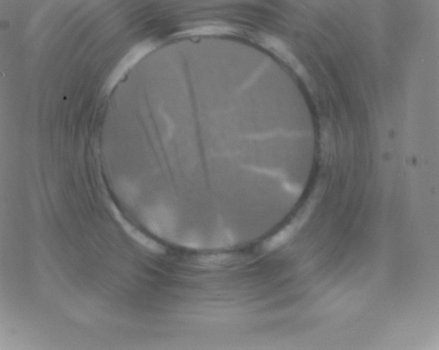 X0000076311425200610271928