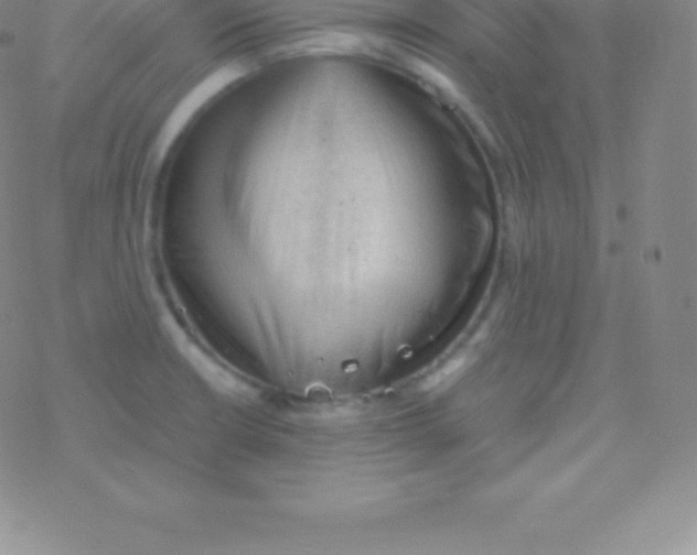 X0000076311426200610271928