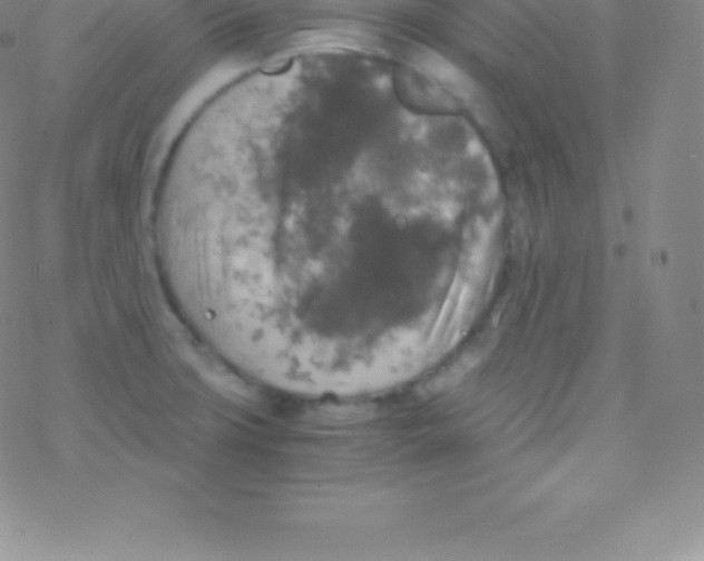 X0000076311427200610271928