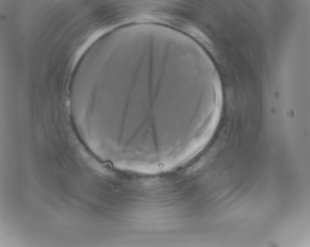 X0000076311428200610271928