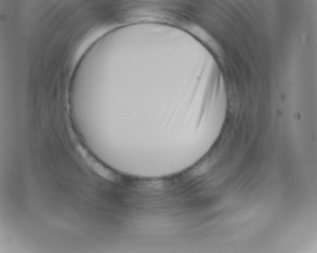 X0000076311431200610271928