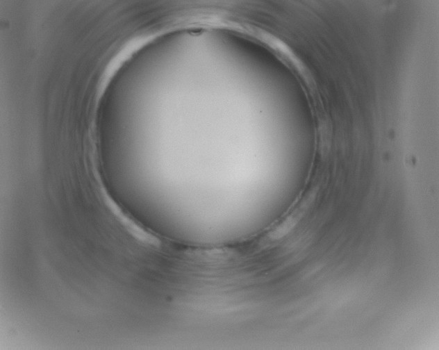 X0000076311432200610271928