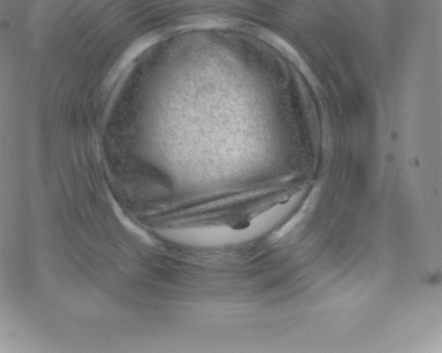 X0000076311433200610271928