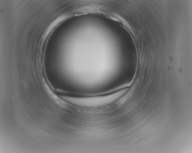 X0000076311434200610271928