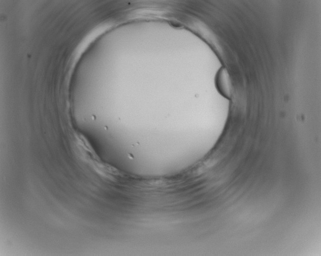 X0000076311435200610271928