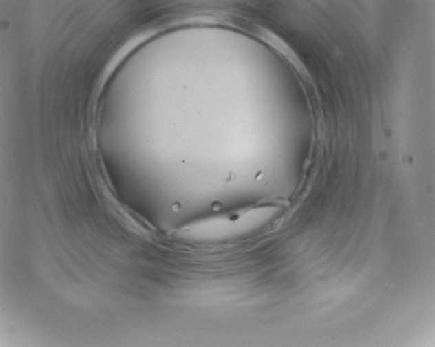 X0000076311436200610271928