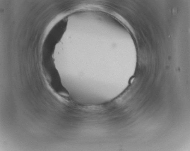 X0000076311437200610271928