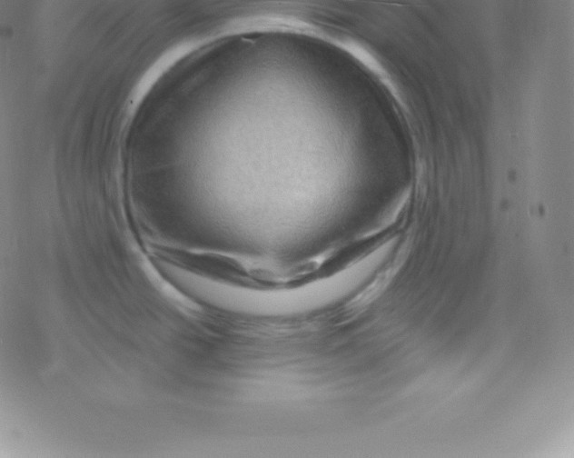 X0000076311438200610271928