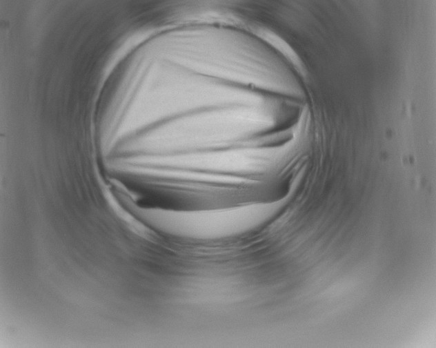 X0000076311439200610271928