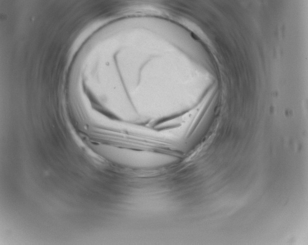 X0000076311440200610271928