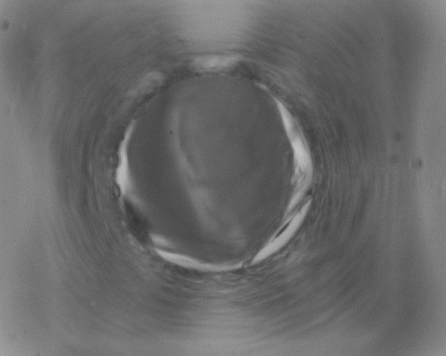 X0000076311441200610271927