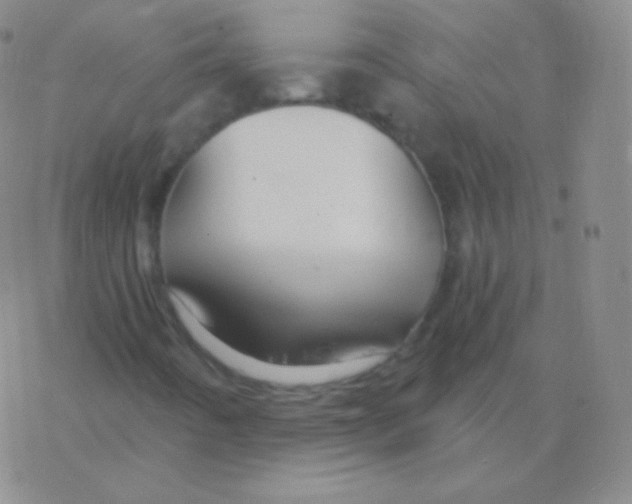 X0000076311442200610271927