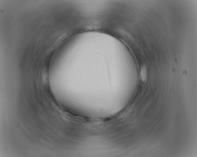 X0000076311444200610271927